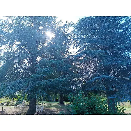 Bed & Breakfast Maison La Grande Serre *