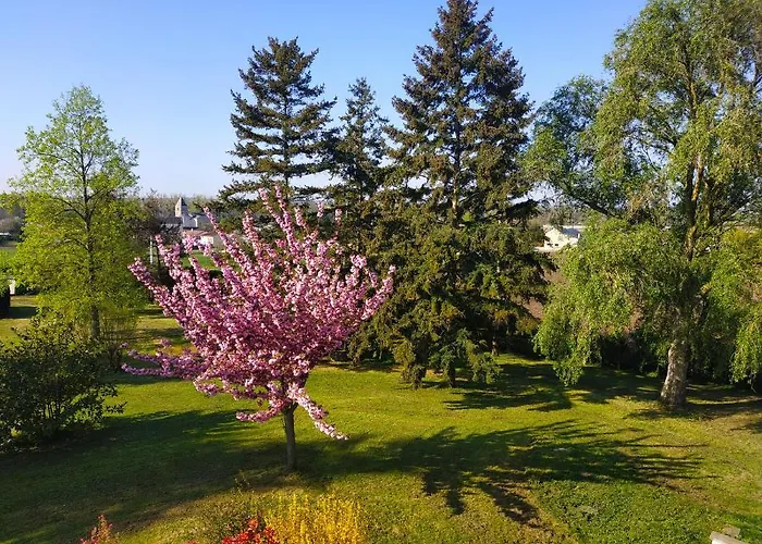 Maison La Grande Serre Bed and breakfast Blaslay