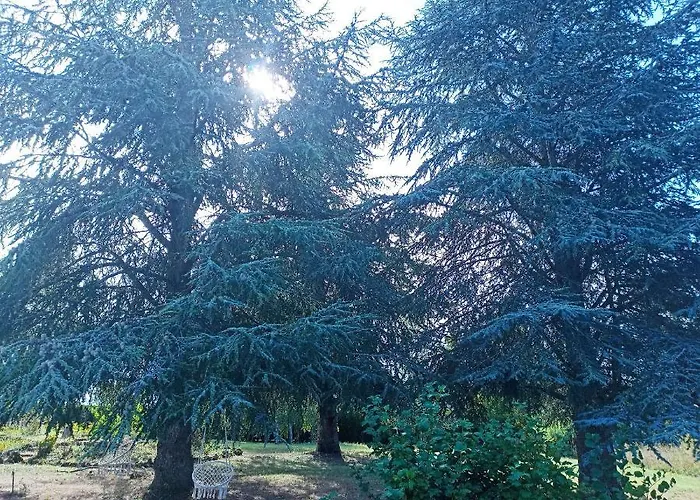 Bed and breakfast Maison La Grande Serre 3*